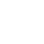 instagramIcon